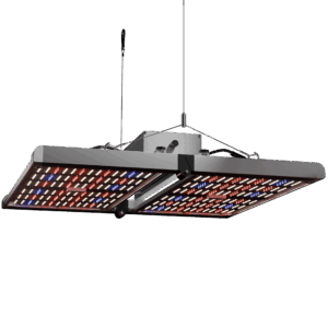 CALUMA LED FORCE 320W 2.7