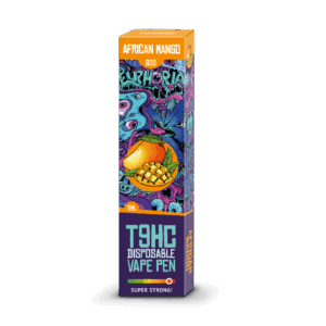 T9HC Afrikanische Mango 2 ml