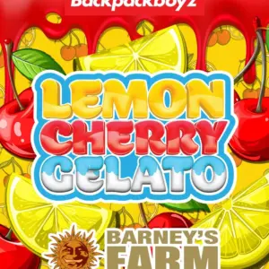 Lemon Cherry Gelato Strain von Barneys Farm 3er Pack