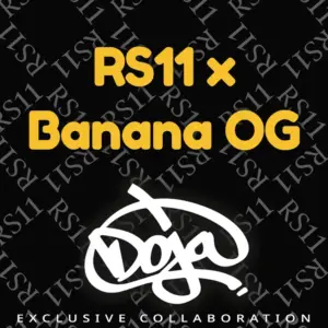 RS11 x Banana OG Strain von Barneys Farm 3er Pack